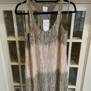 NWT Embellished Parker Dress
